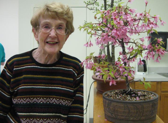 It was after leaving the Ann Arbor area that Eunice began teaching bonsai classes "up north" and soon founded the Sakura Bonsai Society of Northern Michigan, a Traverse City area club.