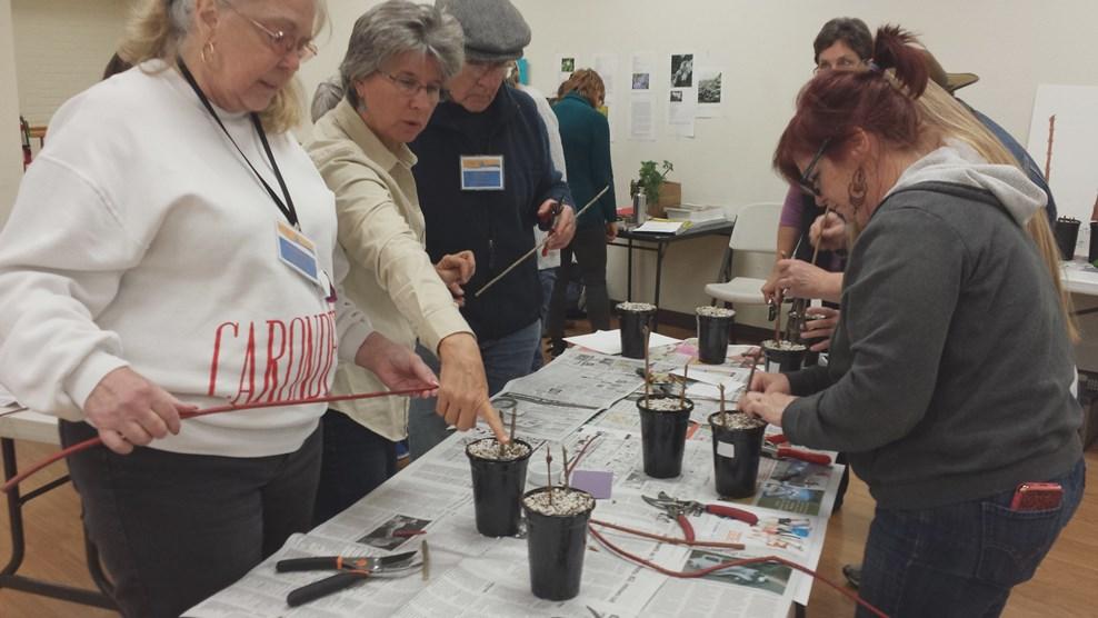 Furthermore, as the drought continues, Master Gardener volunteers are a crucial resource for the public regarding watering their gardens wisely.