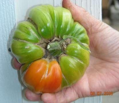 WHAT ABOUT HEIRLOOMS?