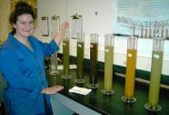 Other tests Natural Acidifying Processes in Soil CO 2 from respiration + water H 2 CO 3 Organic acids produced by