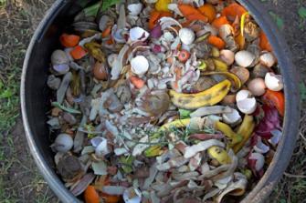 Composting - Speeding up the natural decay process What do you need to make compost?
