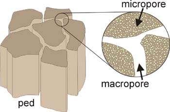 Micropores Filter & detoxify