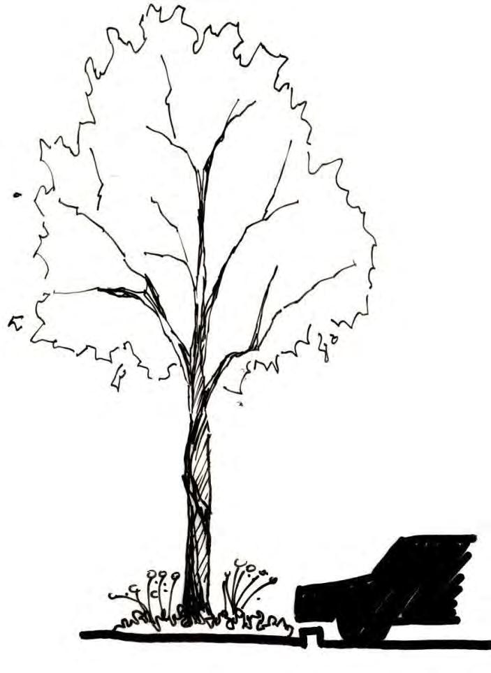 2. Landscaping a. Trees within planting areas shall be