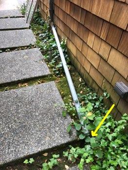 2. Gutters downspouts appeared in good condition overall.