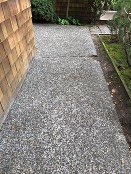 Driveway and Walkway Condition Debris in scuppers Concrete sidewalks and driveways appeared