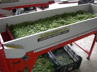 Edamame Supply Hopper---GSH-1 GSH-1 1: NO man-power required. Just put the edamame into the hopper.