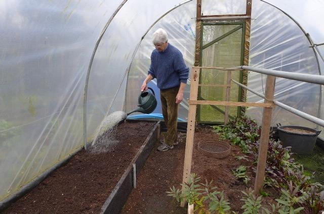 With the milder weather it is now comfortable to work in the polytunnel.