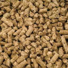 Biomass heating Boilers Biomass the domestic heating of the future When CTC launched its first wood boiler in 1923, this was the start of almost a century of leading heating technology.