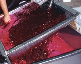 processes in the winemaking operation.