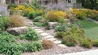 Sunny areas Try prairie plants, rain gardens, edible landscapes. Mary H.