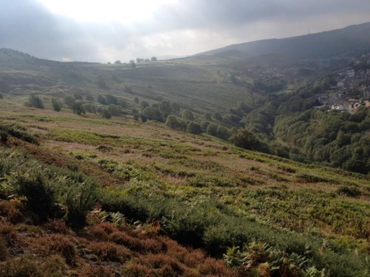Case study: A more in-depth look at our work with partners to help prevent wildfires and enhance biodiversity The Rhondda has some of Wales key priority grassland and hillside habitats along its