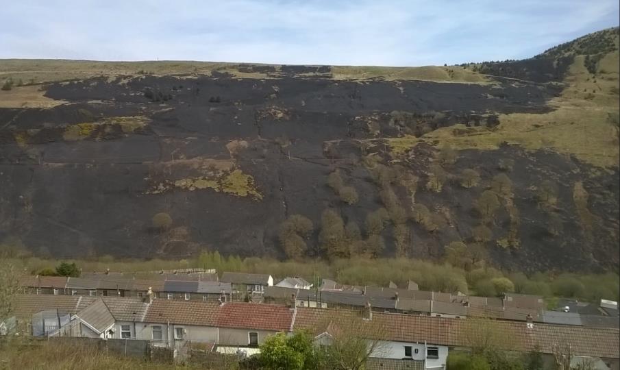 The South Wales Valleys are particularly susceptible to wildfires as the characteristic habitat is the ffridd / coed cae habitat this is the margin between the valley bottom and uplands.