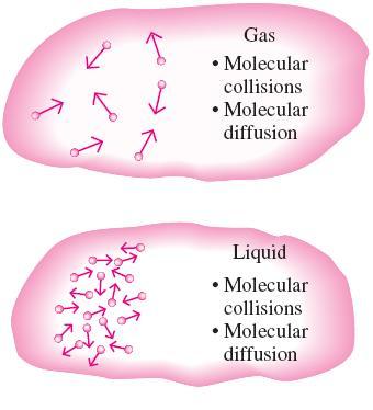 Conduction In gases and liquids, conduction is due to the
