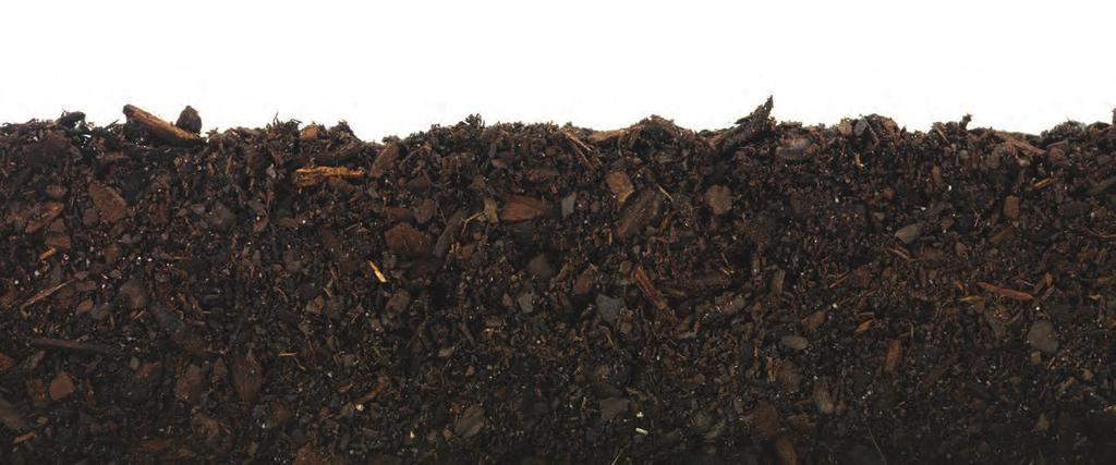MULCHING The dormant season is a great time to freshen up your mulch.