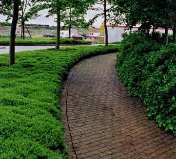 landscaped zone new access route mounds Examples of integrated pedestrian cycle routes within a