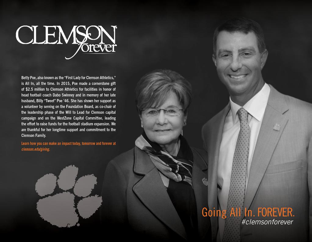 GRAPHIC ICONS Secondary Icon The Clemson Tiger Paw is one of the most recognizable symbols in secondary education.