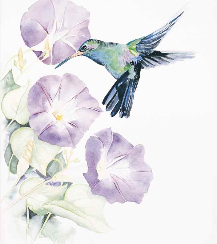 The Hummingbird Motion that stirs emotion. Darting swiftly then hovering. Humming. A shimmering swish of color where poetry and practical sense become one. - S. Fortune Inspiring.