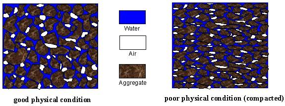 A typical soil after compaction has strength of about 6,000 kpa, while studies have shown that root growth is not possible beyond 3,000 kpa.