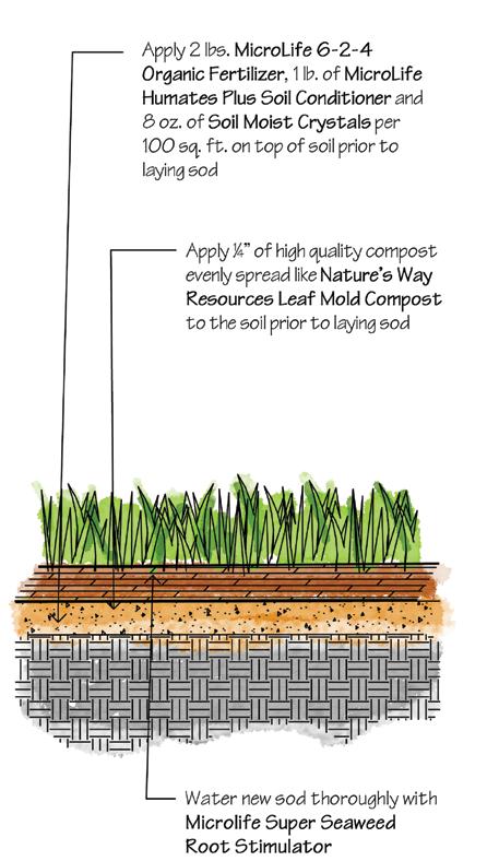 Turfgrass Specifications When turfgrass is installed correctly we can have awesome yards that are
