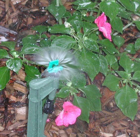 Drip or micro-spray irrigation systems apply water directly to the roots of plants, where it s needed, and lose minimal water to evaporation or wind drift Points Micro-irrigation installed in plant