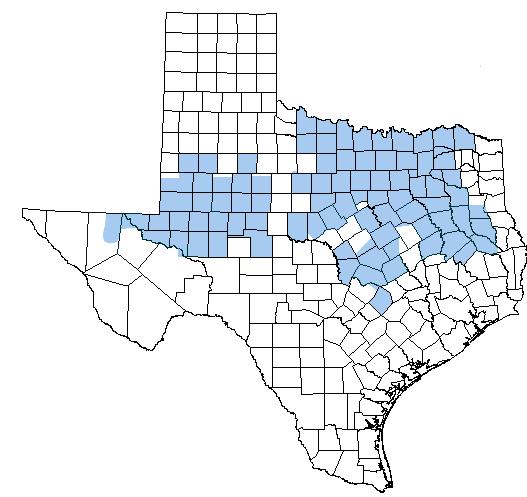 p.2 Figure 1. ONCOR Service Territory (Ref: http://www.oncor.com/electricity/territory/). Table 2.