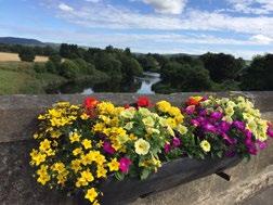 Large Village Best Large Village: Lauder in Bloom - Scottish Borders Moving up from It s Your Neighbourhood this year, Lauder in Bloom was initially formed to address the lack of colour and greenery