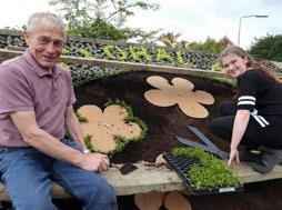 Creative gardening as the fore around the town centre flats, and the group works with local schools creating activities to help wildlife, promote heritage, sustainable materials, combat litter and to