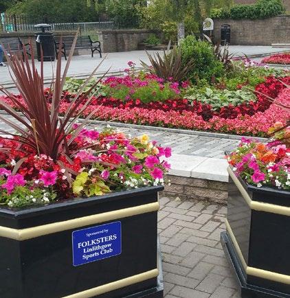 In just over three years, Blooming Haddington has achieved great success by winning best Medium Town in Beautiful Scotland 2015 and then going on to win the best Town in the UK RHS Britain in Bloom