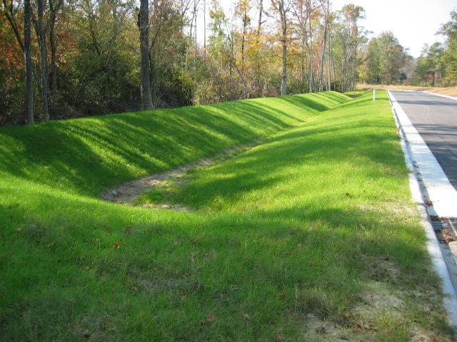 Examples of Structural BMPs Grassed Swales A grassed swale is a linear vegetated ditch used to reduce the flow velocity of storm water runoff (Storm Water Center).