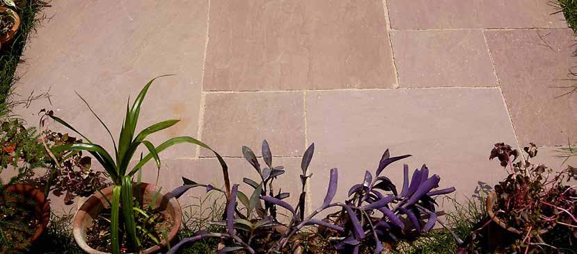 hues and tones to enjoy as you relax in your garden.