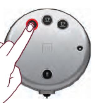 7. Press the Ristretto/Short Black button to start descaling process.