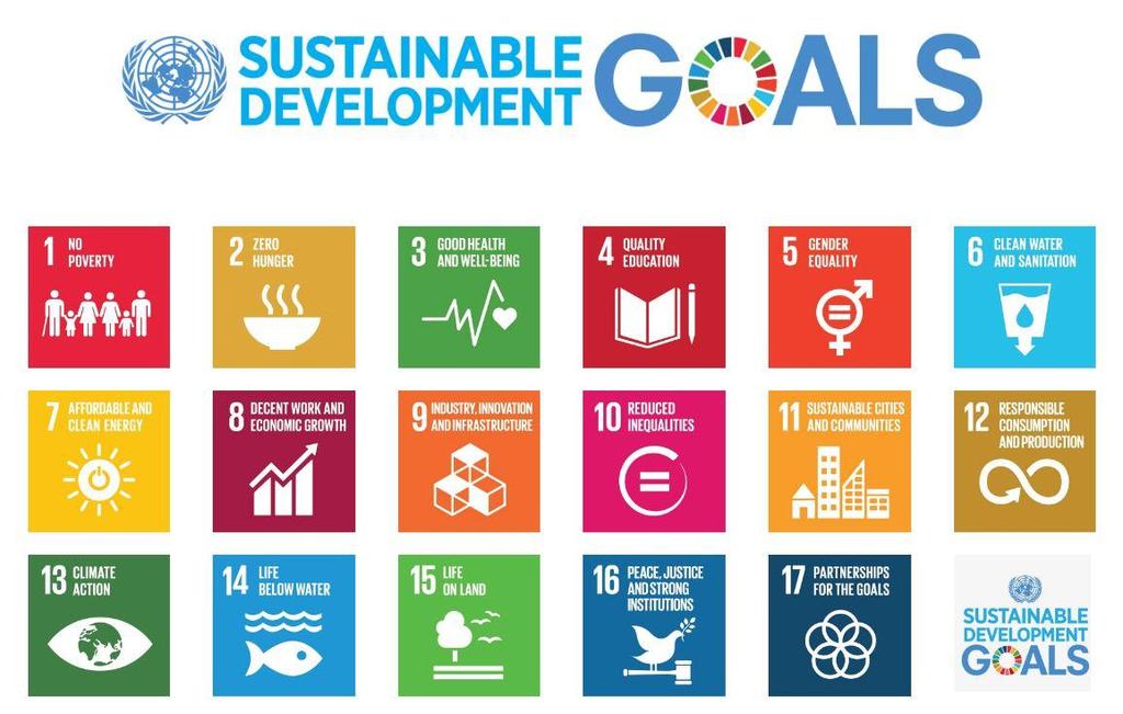 The Urban SDG (11) Agenda 2030: the 17 SDGs Cities of the Future: to make cities
