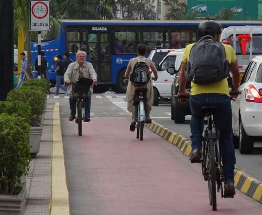 1. SUSTAINABLE URBAN MOBILITY BRAZIL: TRAINING COURSE FOR SUSTAINABLE URBAN MOBILITY By the end of this cours, the participants will have an understanding of: Urban planning concepts and their impact