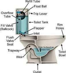 trap location: sinks typically exposed above the floor tub/showers below the floor toilet