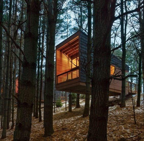 to blend into the forest. The lodges will offer a unique opportunity to experience, nature upclose.