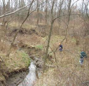 Stabilize the degraded Rush Creek and