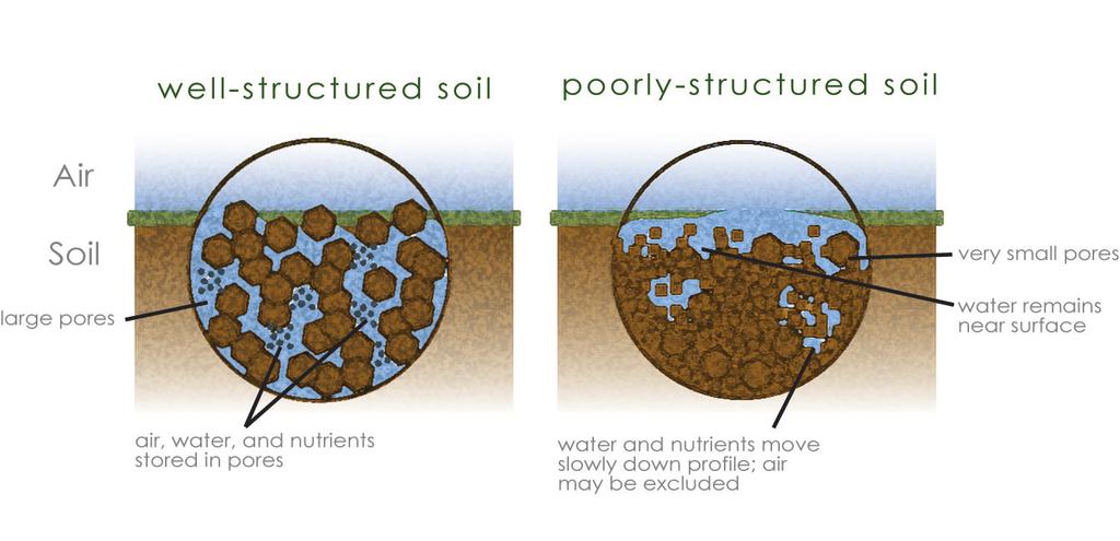Columnar/prismatic (moderate permeability) 5. Platey (low permeability) 6. Massive (low permeability) 1. 2. 3. 4. 5. 6. Why is soil structure so important? Soil is like a city.