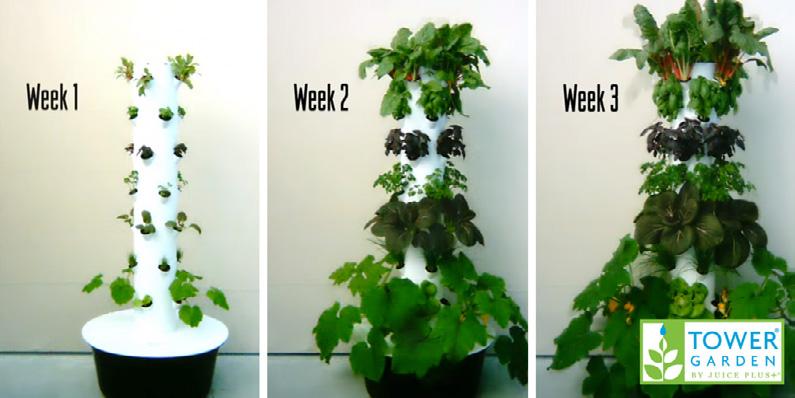 Language Arts Make Tower Garden Part of Your Lesson Plans Try these skill-based ideas for language arts, math, science, and social studies.