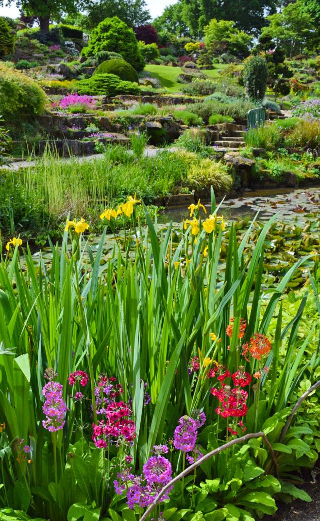 DAY 3 Thursday, May 17, 2018 We begin our garden adventure with a garden that requires no introduction the RHS Wisley is known the world over.