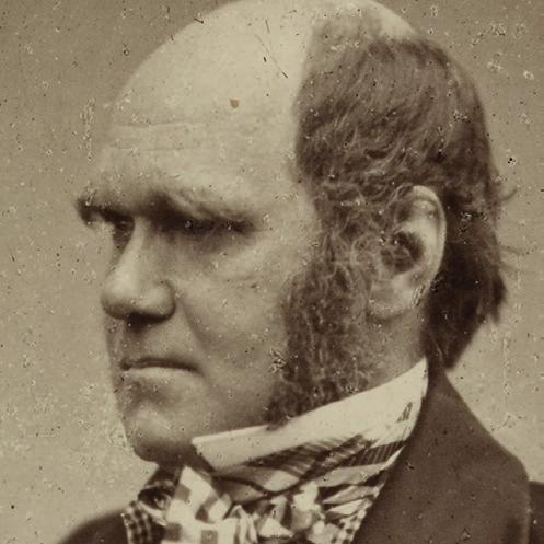 Letter 2075: Charles Darwin to Joseph Hooker, 12 Apr, 1857 My dear Hooker Down Bromley Kent Ap.