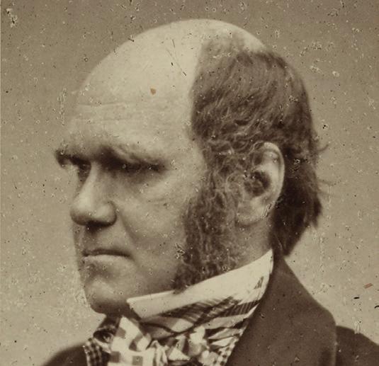 Doing Darwin s experiments Who s who? Charles Darwin Charles Darwin (1809-1882) was a naturalist who established natural selection as the mechanism for the process of evolution.