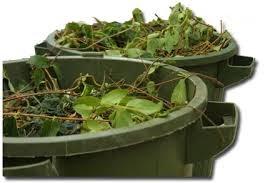 Vegetative Waste Collection - Mondays All grass, leaves, and brush will be collected every Monday from April 1 through December 31 of each year.