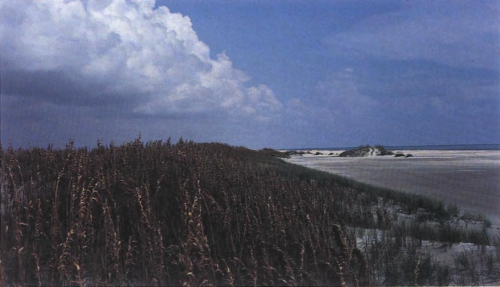 5 Practice no. 6.16 Vegetative dune stabilization Coastal dunes protect backshore areas from ocean storms, shoreline erosion, and encroachment by migrating sand.