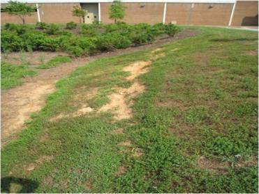 Erosion of the side slopes can indicate a problem with grading or incoming runoff velocities and may require better inflow protection measures.