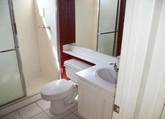 DOWNSTAIRS BATH: 1. New toilet Fergusons Plumbing Pure Flow elongated bowl 2. Install new tub 3. Frame in existing mirror 4.