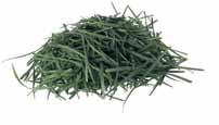 Green Waste 11 Garden prunings (including rose clippings) Grass clippings & weeds (free of soil) WHAT GOES IN?