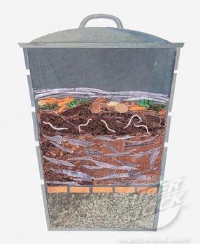 Layering your worm bin Start with bedding Then add organic material / veggie scraps Add your worms A