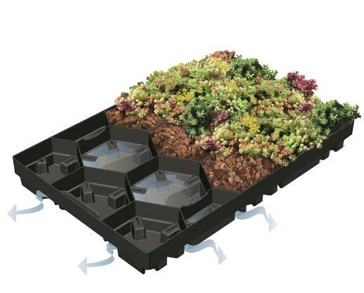 Specifications Pre-cultivated: > 80 % (4-6 sorts of sedum) Material: PE/PP, 100 % recycled Colour: Black / dark grey Dimensions: 400 x 600 mm 15.75 x 23.62 inches Height: 75 mm 2.