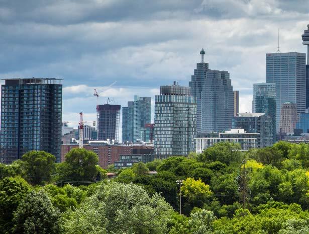 14 GROWTH AND CHANGE IN TORONTO S NEIGHBOURHOODS GREENSPACES AND AMENITIES The Yonge Street Corridor, although it is known as the economic hub, is also being re-imagined as a healthy community to