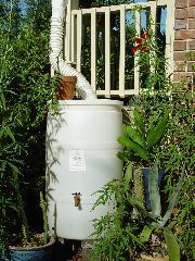 Cobb County Water System: Rain Barrel Fact Sheet A rain barrel is a rainwater harvesting system that is connected to a downspout from a house or building.